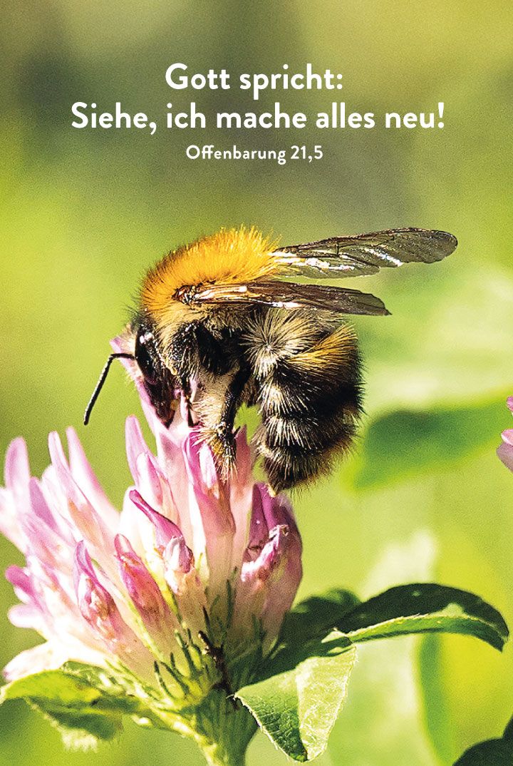 DIE JAHRESLOSUNG 2026 - DOPPELKARTE