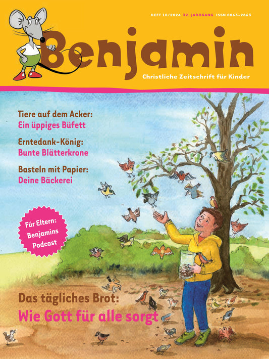 Benjamin: Ausgabe aus Vorjahren günstiger