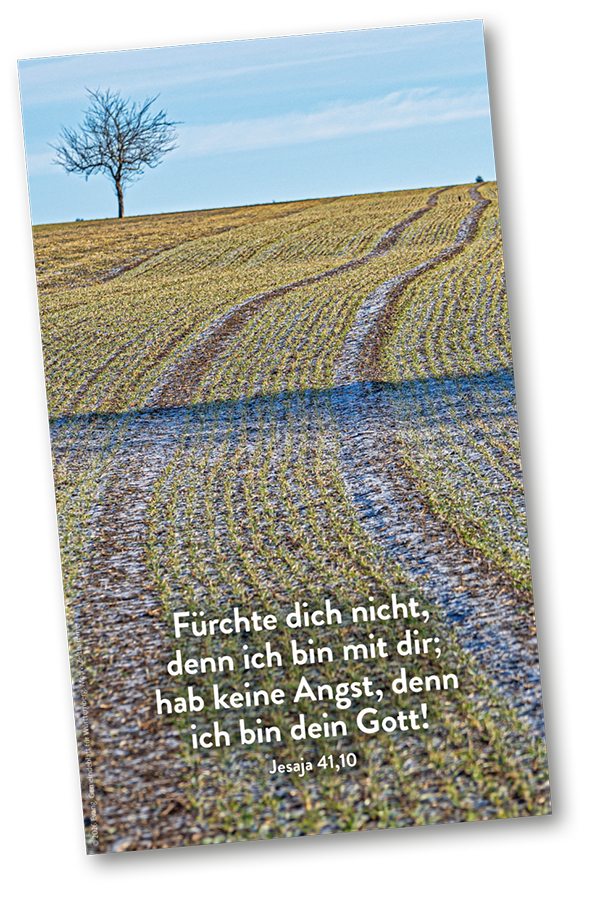 DIE JAHRESLOSUNG 2027 - POSTER