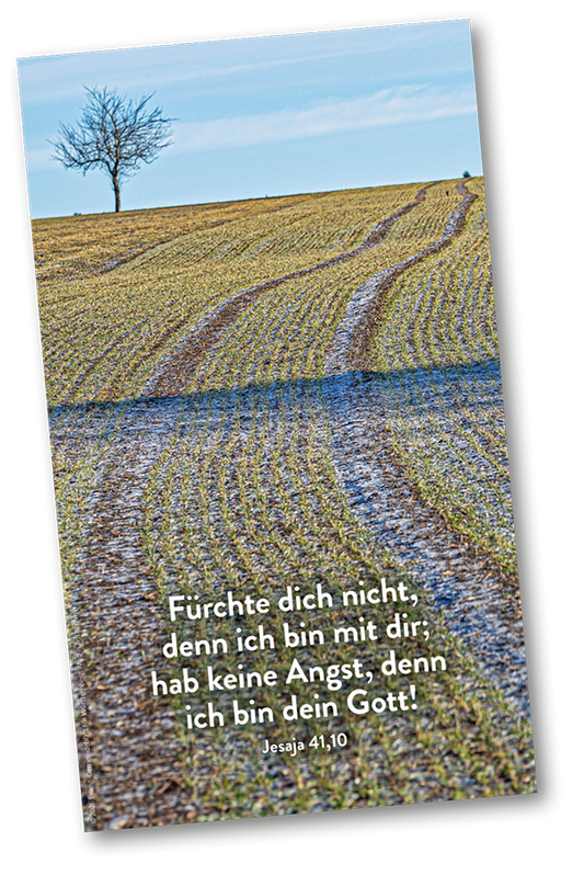 DIE JAHRESLOSUNG 2027 - POSTER