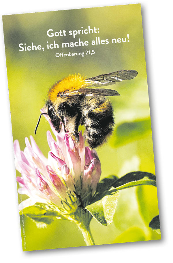 DIE JAHRESLOSUNG 2026 - POSTER