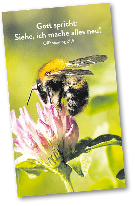 DIE JAHRESLOSUNG 2026 - POSTER