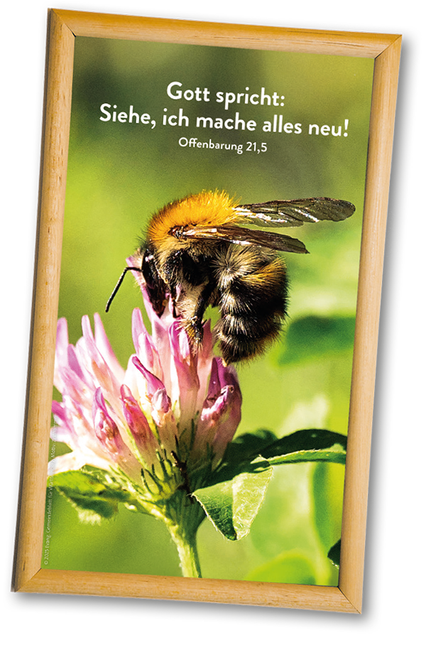 DIE JAHRESLOSUNG 2026 - POSTER UND HOLZRAHMEN
