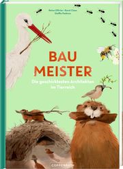 Baumeister Ollivier, Reina/Claes, Karel 9783649643531