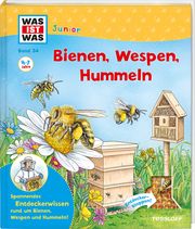 Bienen, Wespen, Hummeln Rusche-Göllnitz, Angelika 9783788622312