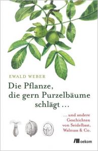 Die Pflanze, die gern Purzelbäume schlägt ... Weber, Ewald 9783960060284