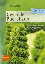 Gesunder Buchsbaum Beltz, Heinrich 9783800182657