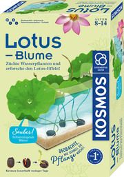 Lotus-Blume  4002051637279