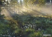 Malerische Wälder 2025 - Wand-Kalender - 42x29,7 - Wald - Natur Dörr, Cornelia/Dörr, Ramon 4002725994271