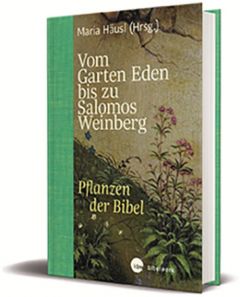 Vom Garten Eden bis zu Salomos Weinberg Häusl, Maria 9783460302075