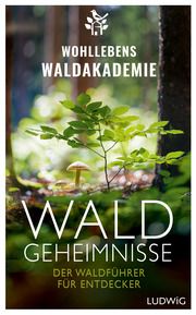 Waldgeheimnisse Wohllebens Waldakademie 9783453281615