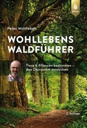 Wohllebens Waldführer Wohlleben, Peter 9783818607043