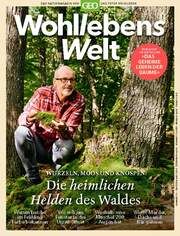 Wohllebens Welt - Wurzeln, Moos und Knospen: Die heimlichen Helden des Waldes Wohlleben, Peter 9783652012065